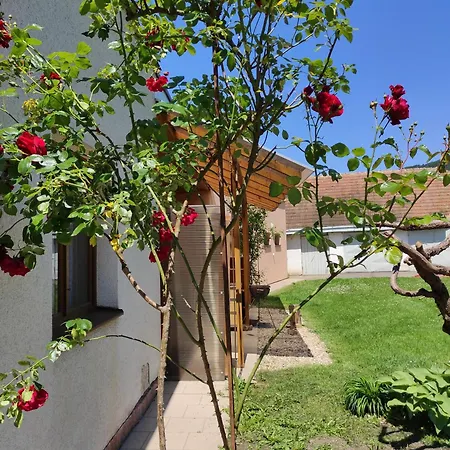 Apartman Bestvina Běstvina
