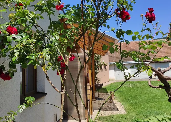 Apartman Bestvina Běstvina